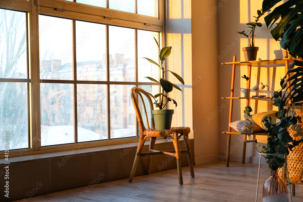 Chair with houseplant in interior of modern living room