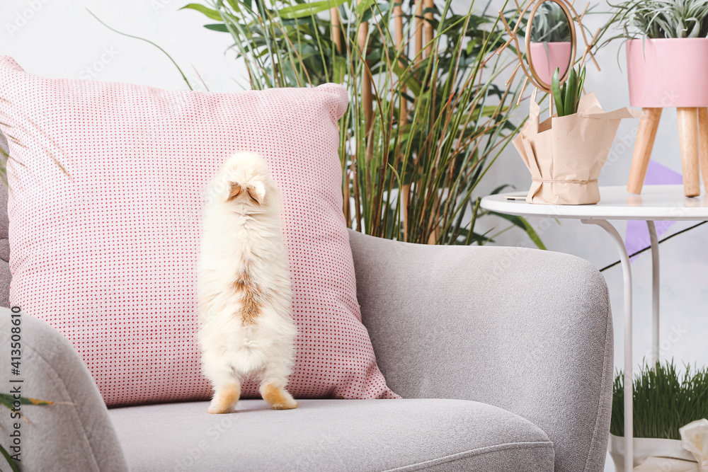 Cute funny rabbit on armchair