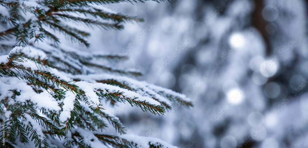 寒冷的冬日，高山上的树木被雪花覆盖