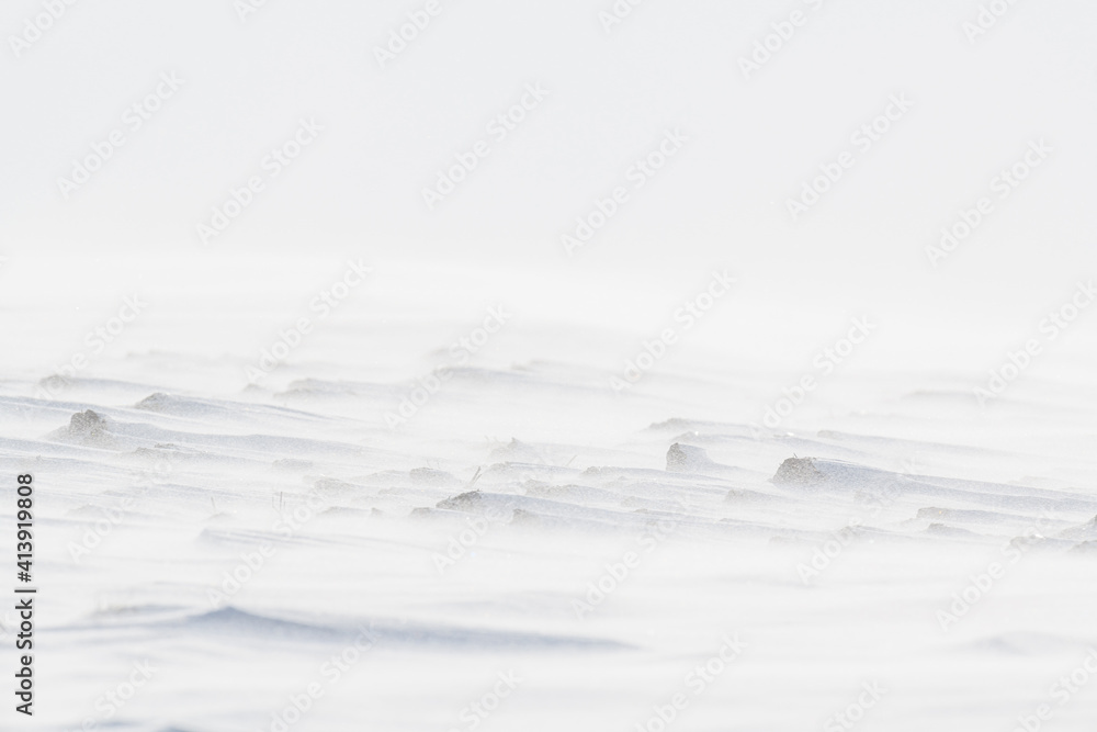 美丽的冬季背景，雪域。自然的冬季纹理。