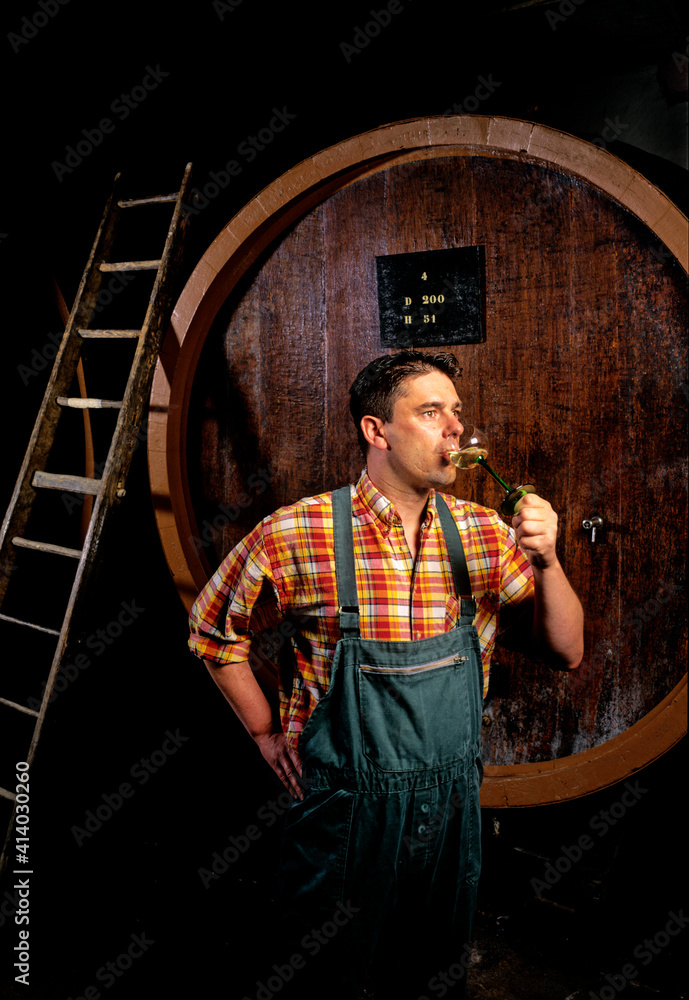 Viticulteur dans une cave avec des cuves en bois qui goûte son vin en Alsace