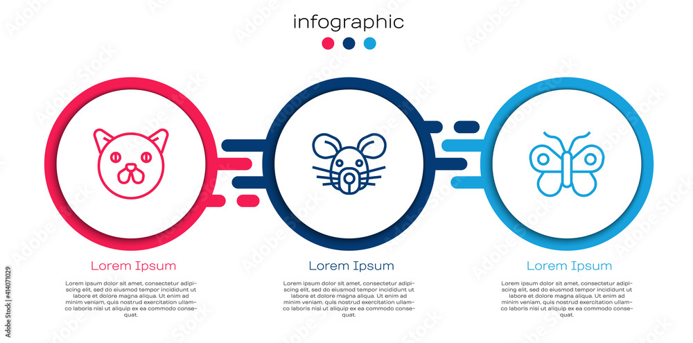 设置线猫、鼠头和蝴蝶。商业信息图模板。矢量。