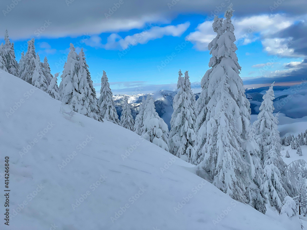 Picturesque view of the wintry backcountry of Krvavec, Slovenia on a sunny day