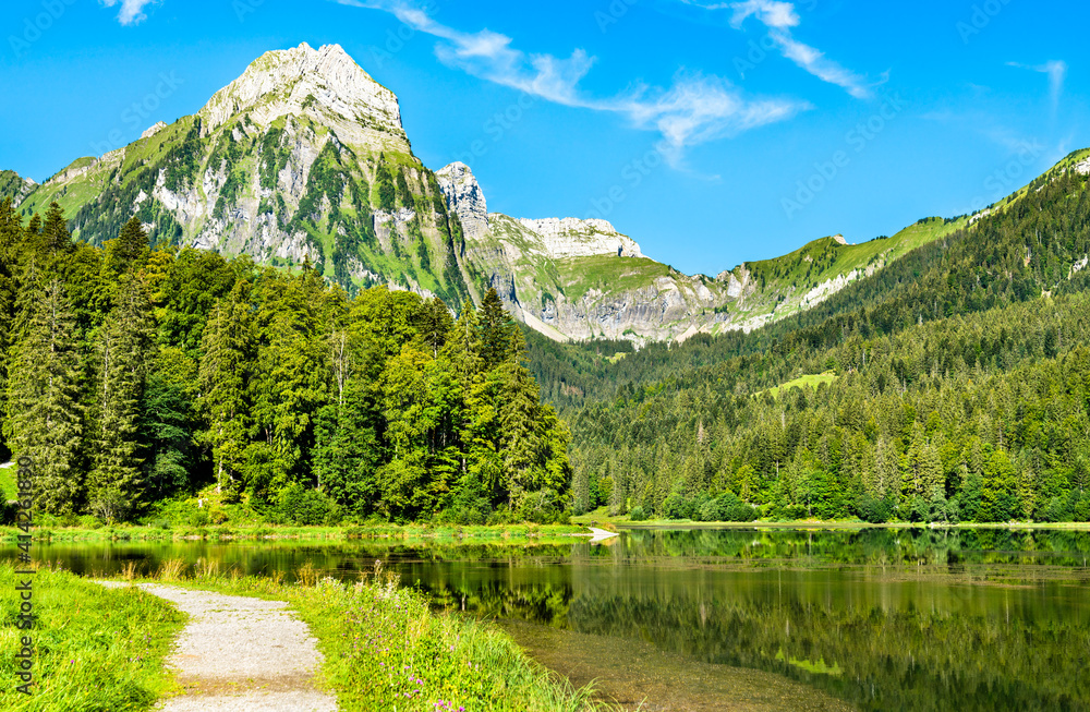 瑞士阿尔卑斯山Obersee湖的Brunnelistock山景观