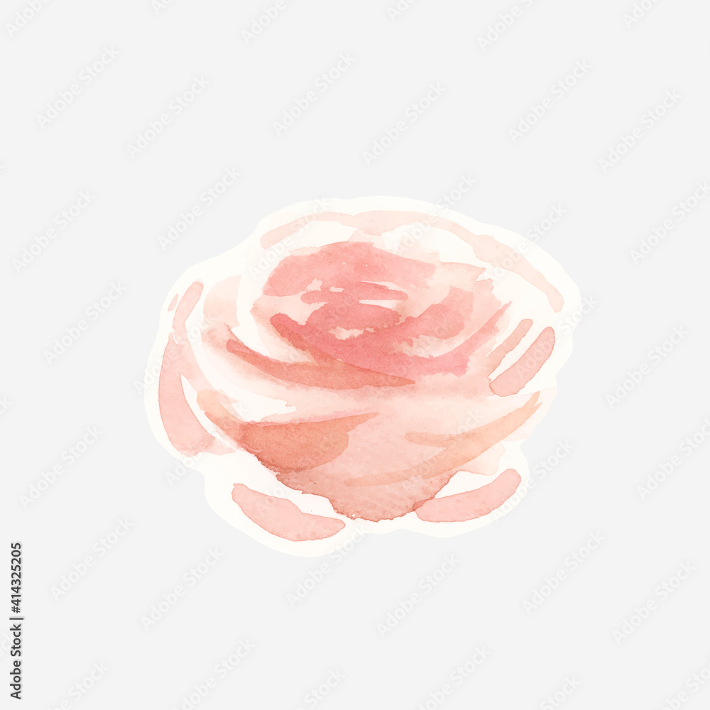 Classic pastel rose vector hand drawn watercolor flower