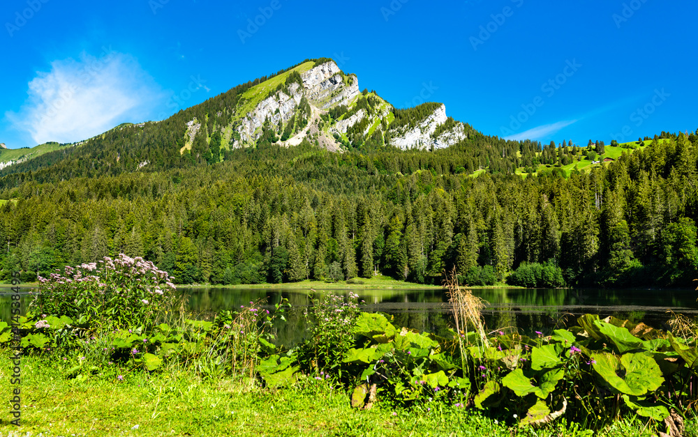 瑞士格拉鲁斯州Obersee湖景观