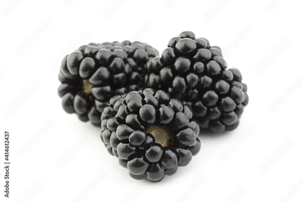 Blackberry fruit on white