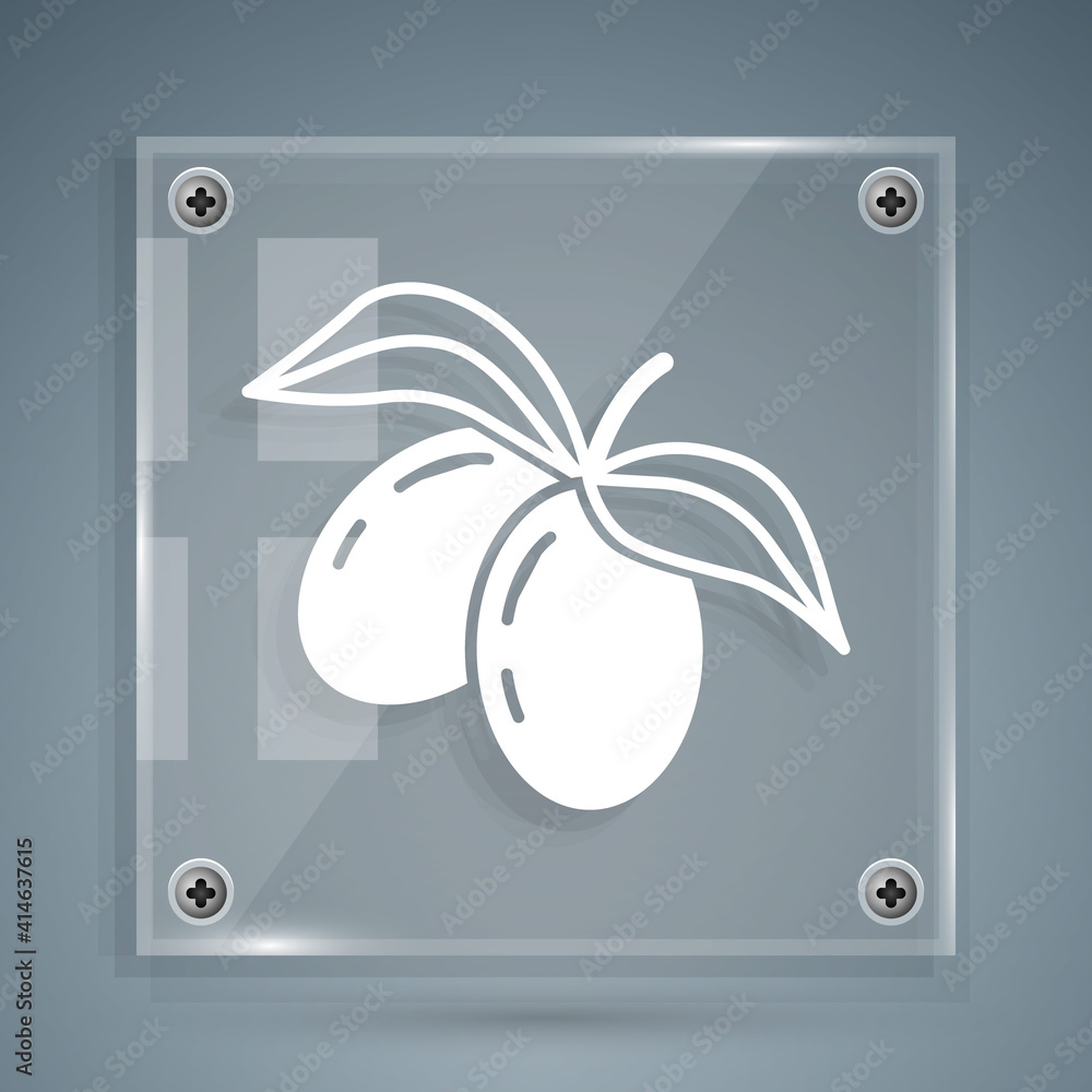 White Olives branch icon isolated on grey background. Square glass panels. Vector.