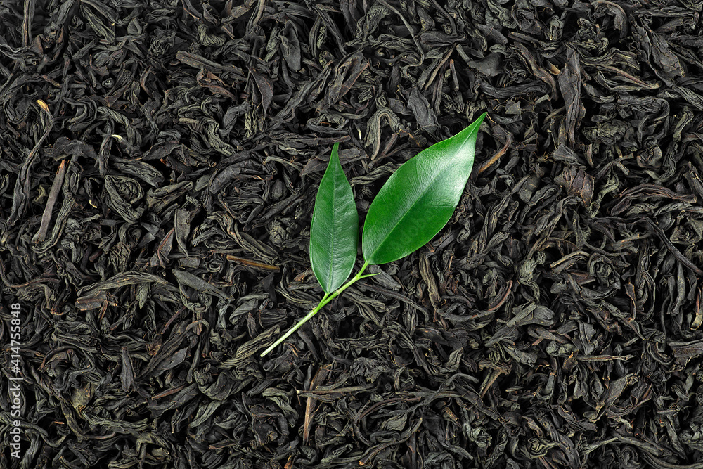 黑锡兰茶-在白底上分离的干红茶和新鲜茶叶。红茶为b