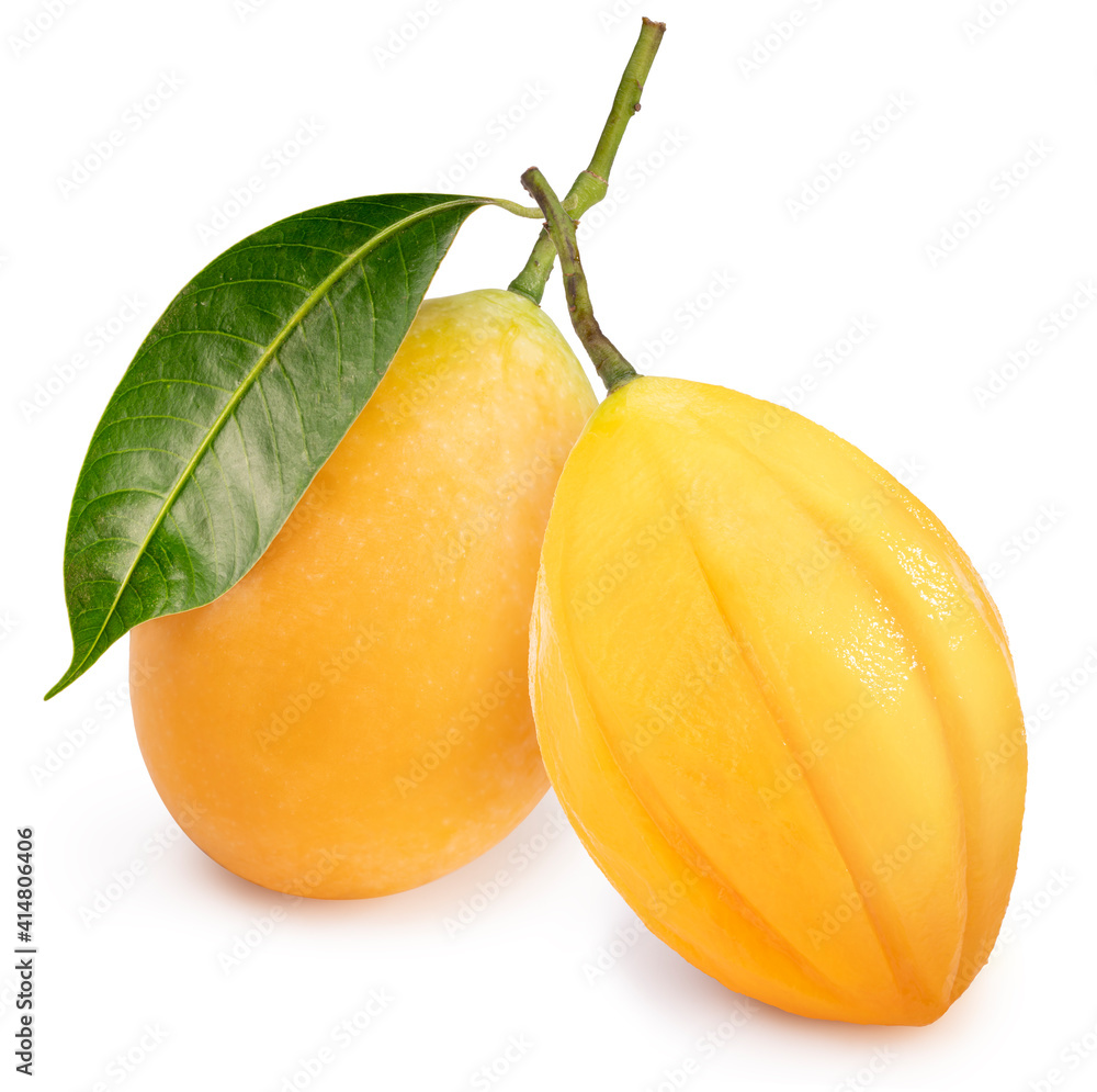 Sweet Yellow Marian Plum isolated on white background, Tropical fruit Marian Plum, Mayongchid, Mapra