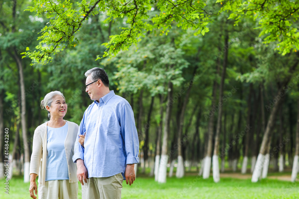 幸福的老夫妇在公园里散步