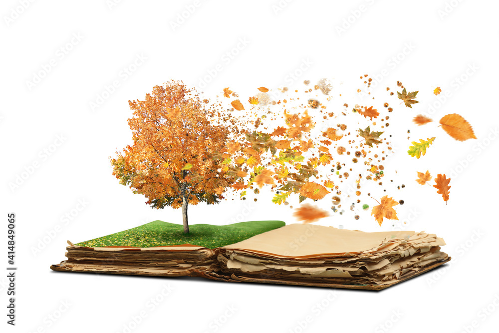 Open magic book with growing autumn tree and flying leaves on white background