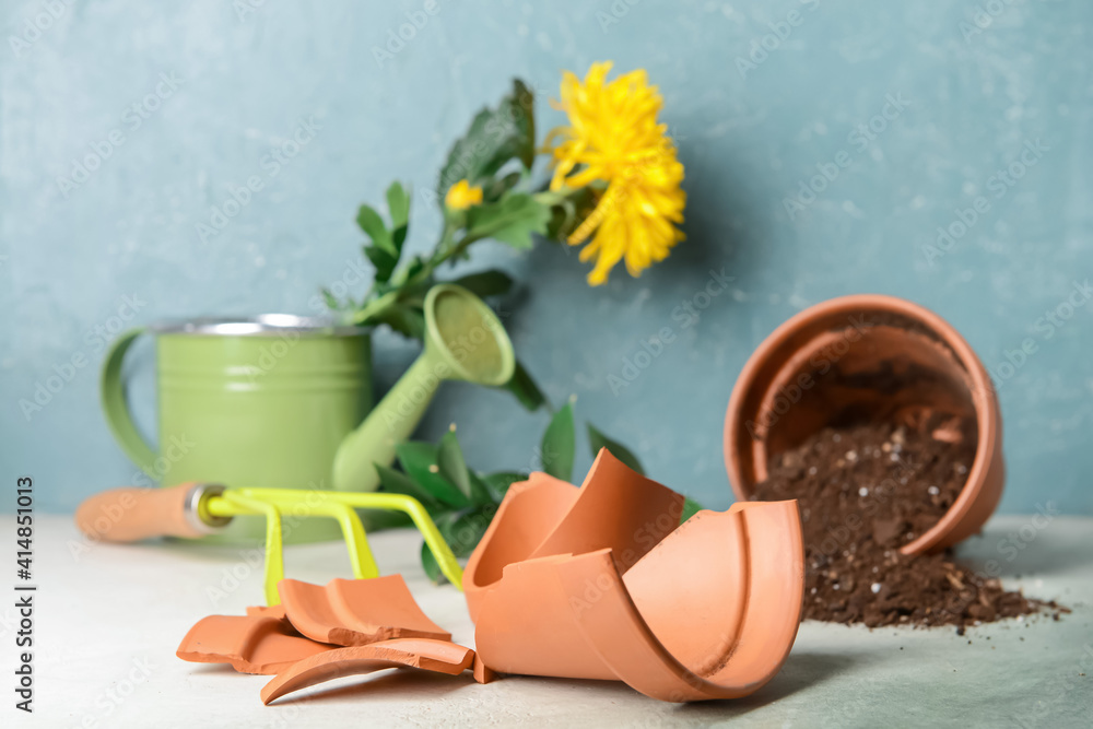 Broken flower pot and gardening tools on table