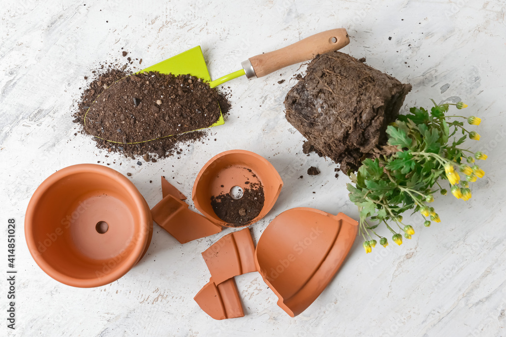 Broken flower pot, plant and shovel on light background