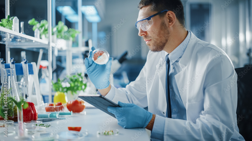 Male Microbiologist Working on Tablet Computer and Examining a Lab-Grown Vegan Meat Sample. Medical 