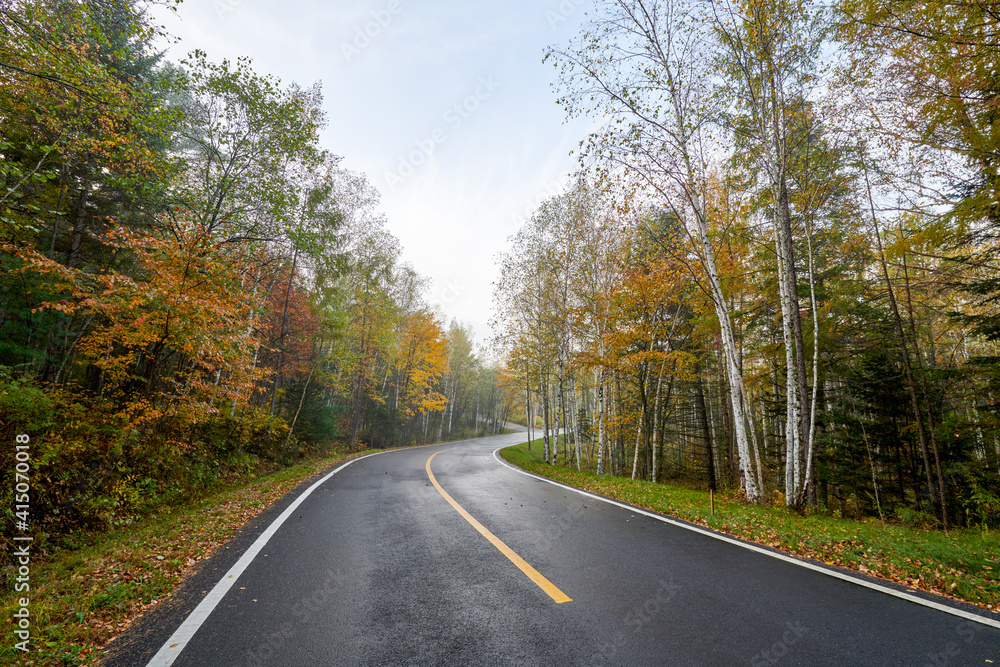 秋天森林景观上的道路。