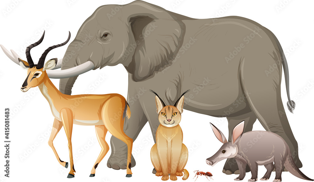 Group of wild african animal on white background