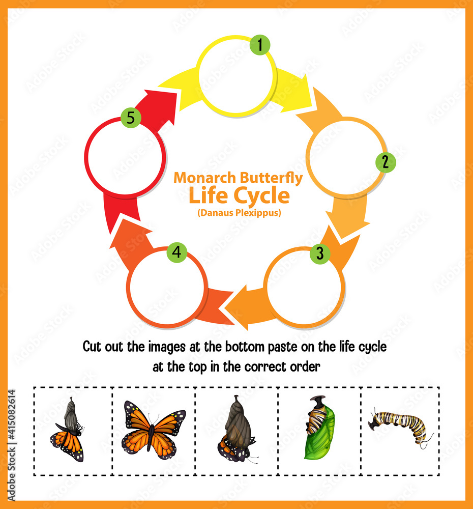 Diagram showing life cycle of Butterfly