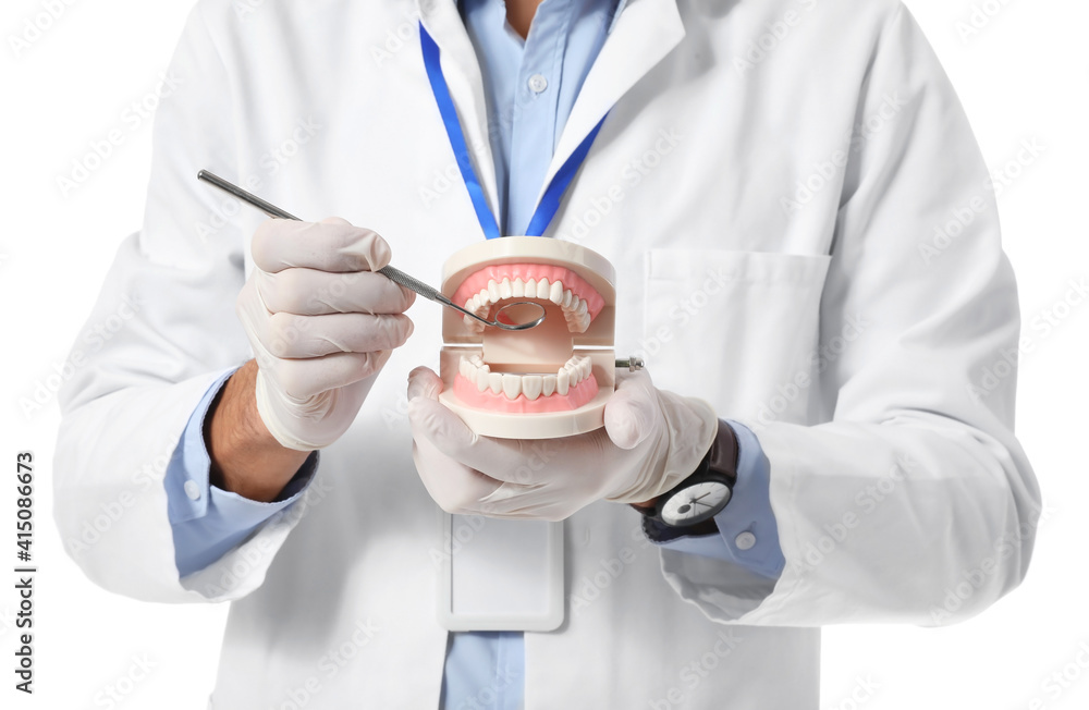 Male dentist with plastic jaw model on white background, closeup