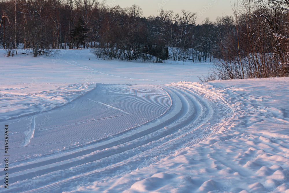 美丽冬日早晨的北欧滑雪道