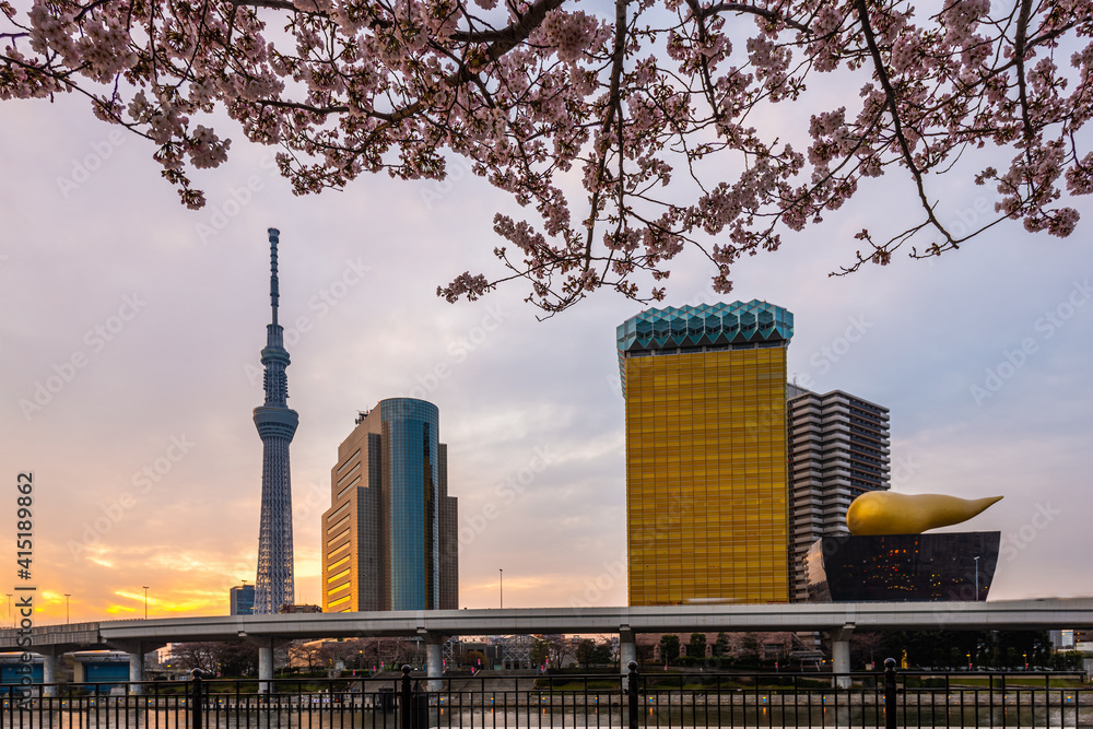 日本东京隅田河城市景观