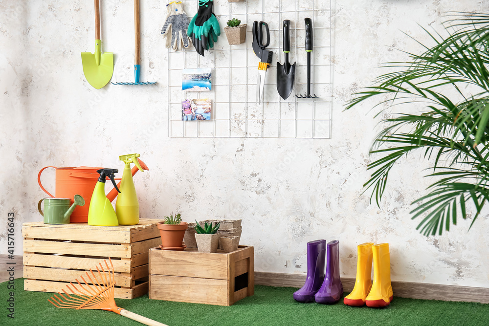 Set of gardening supplies and houseplants in barn