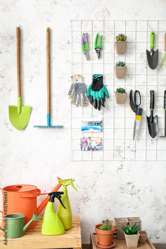 Set of gardening supplies and houseplants in barn