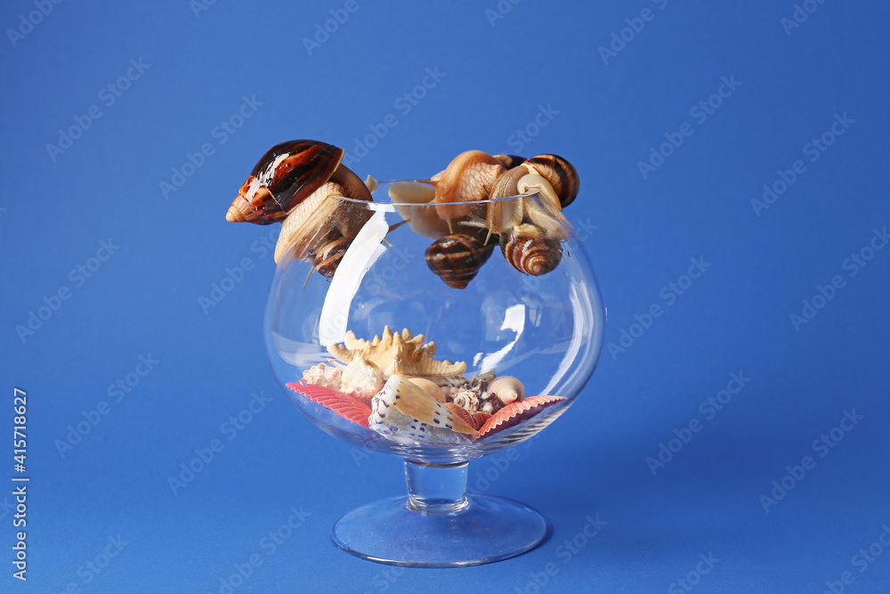 Snails and glass vase with sea shells on color background