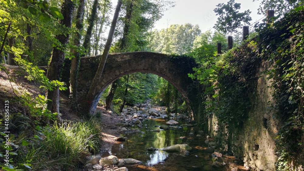 Naturaleza en Cataluña, bosques, rios y puentes