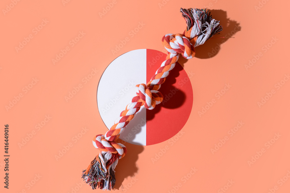 Creative composition with pet toy on color background