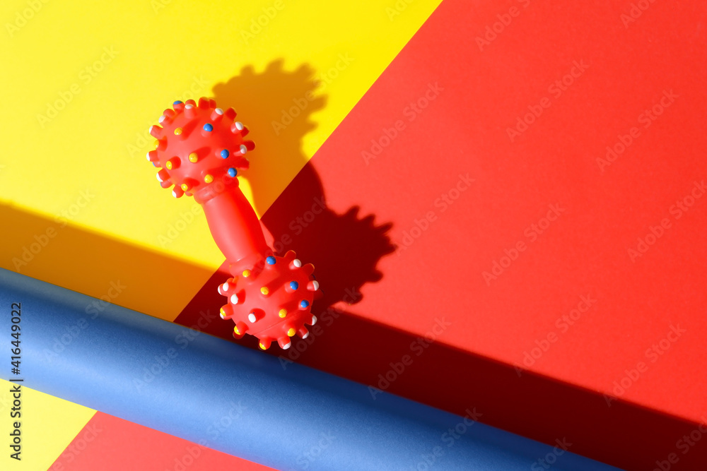 Creative composition with pet toy on color background