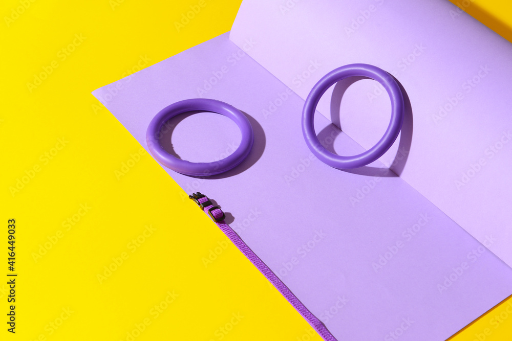 Creative composition with pet accessories on color background