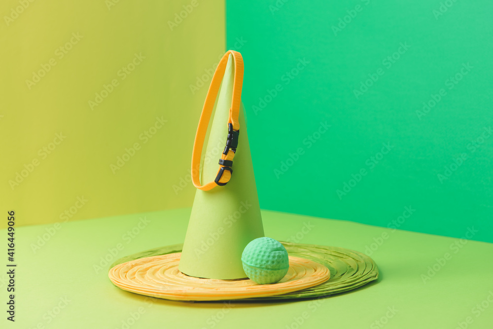 Creative composition with pet accessories on color background