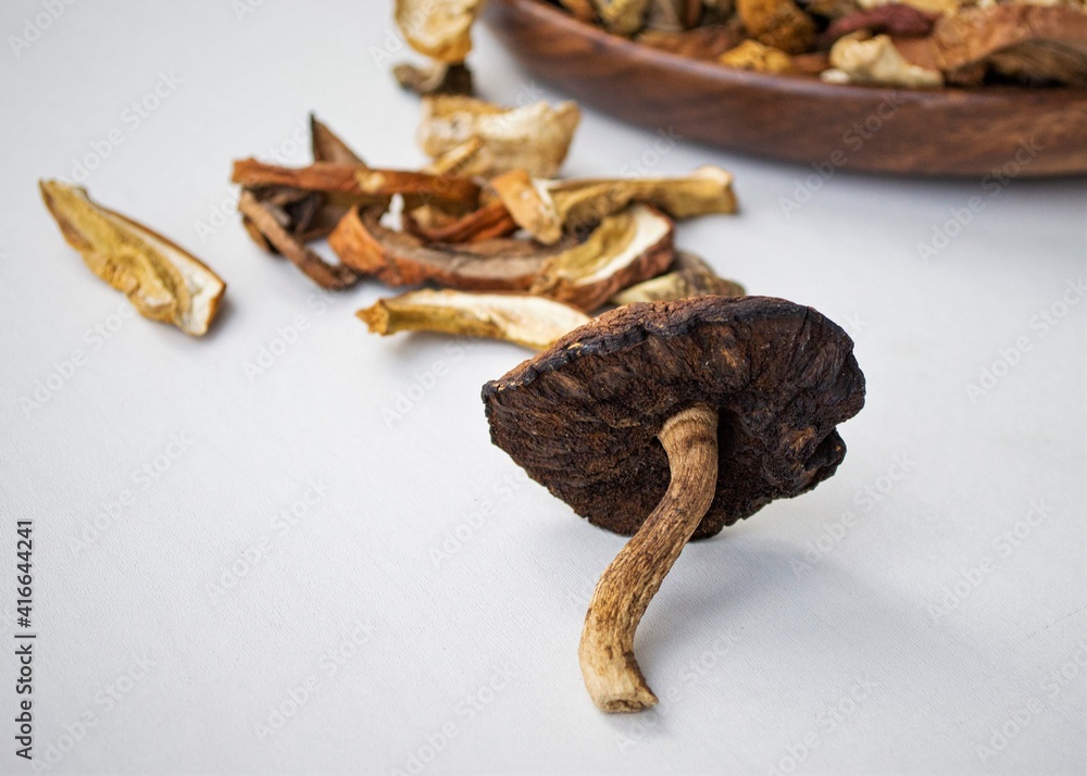 Dried forest mushrooms