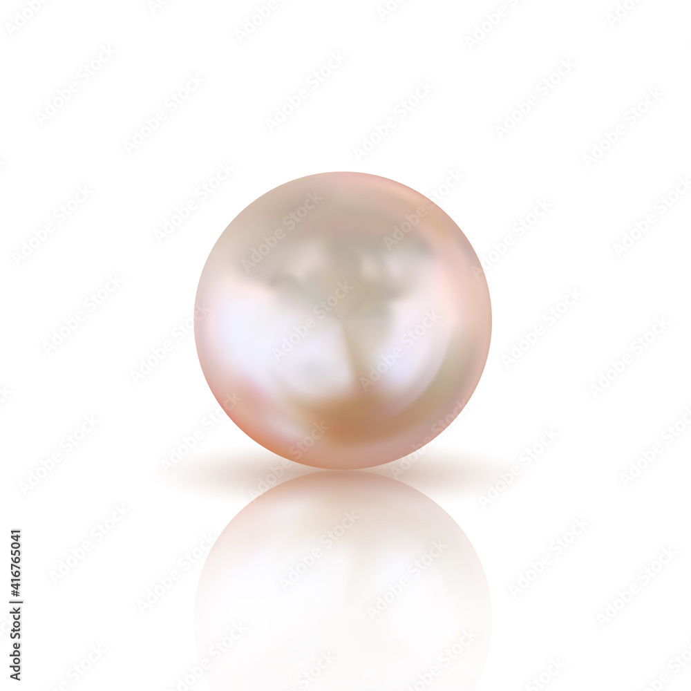 Realistic 3d pearl on white background. Vector Illustration