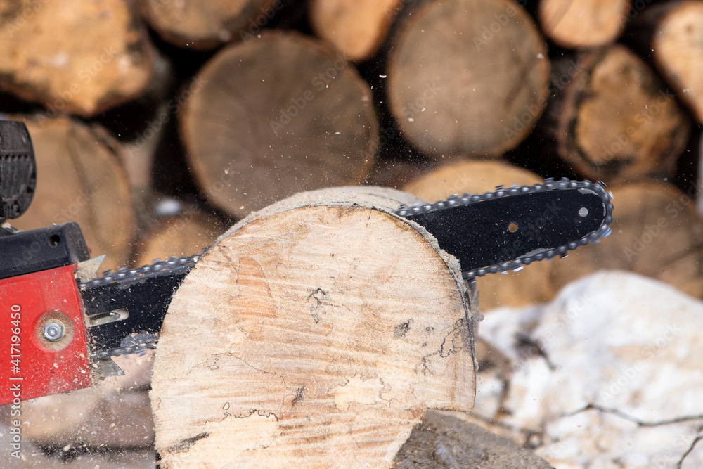 Chainsaw blade cutting log of wood. Preparation firewood for the winter. Natural living style