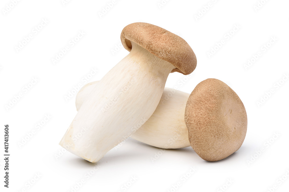 King Oyster mushroom (Pleurotus Eryngii) isolated on white background. Clipping path.