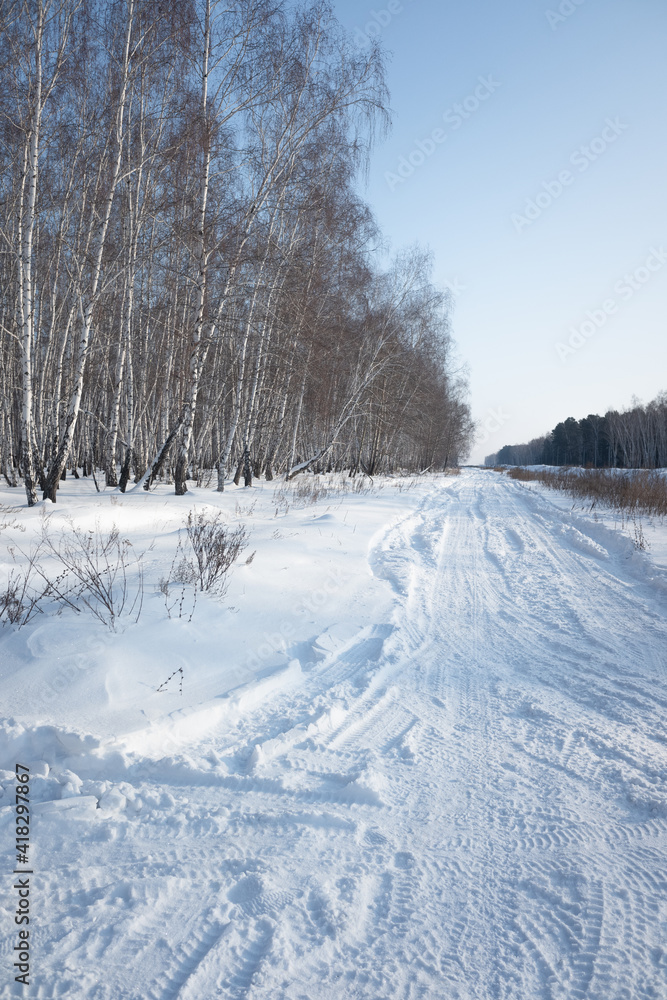 森林里的雪冬路