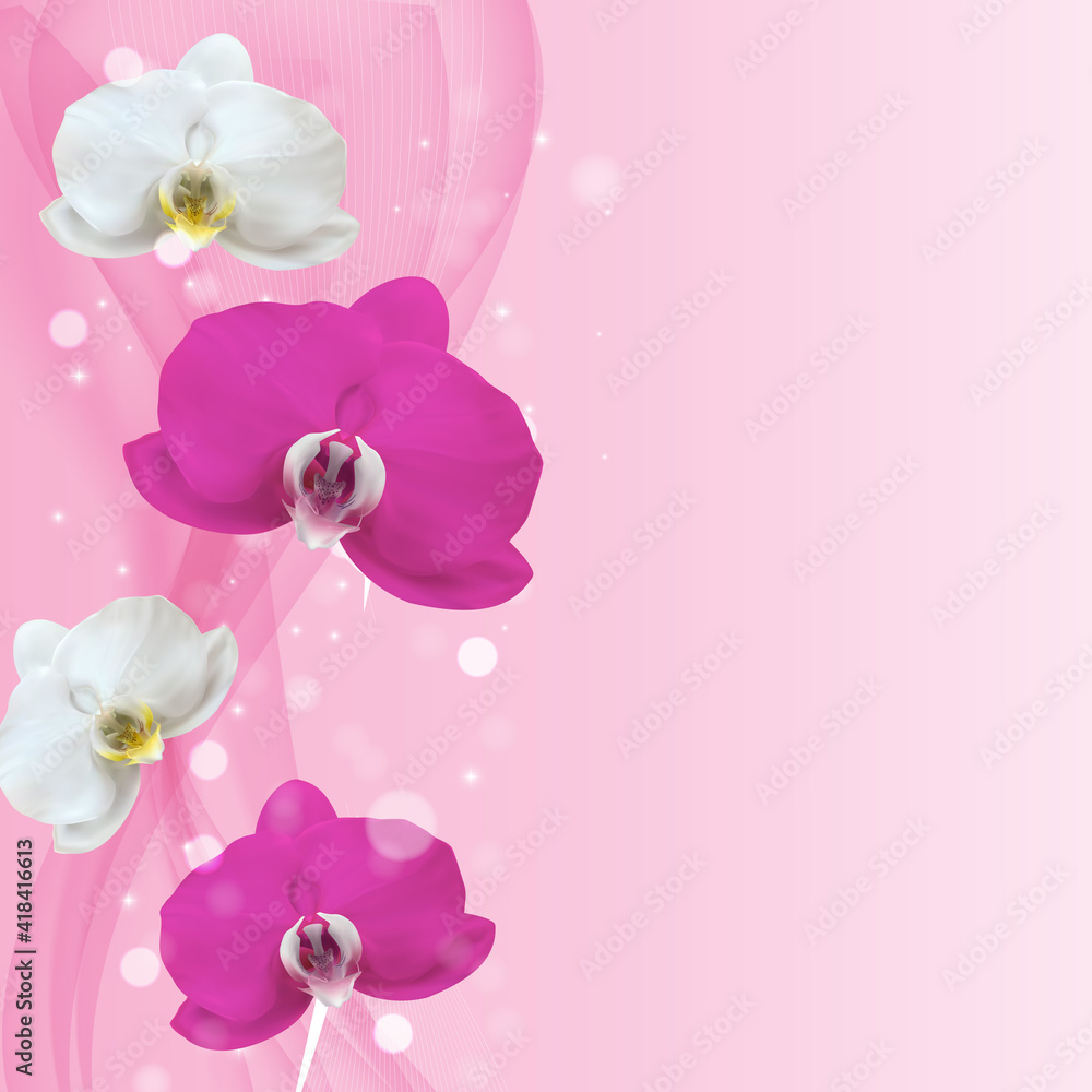 3D Realistic Natural pink and white orchid flower background. Design Template for Ads, flyer or Maga