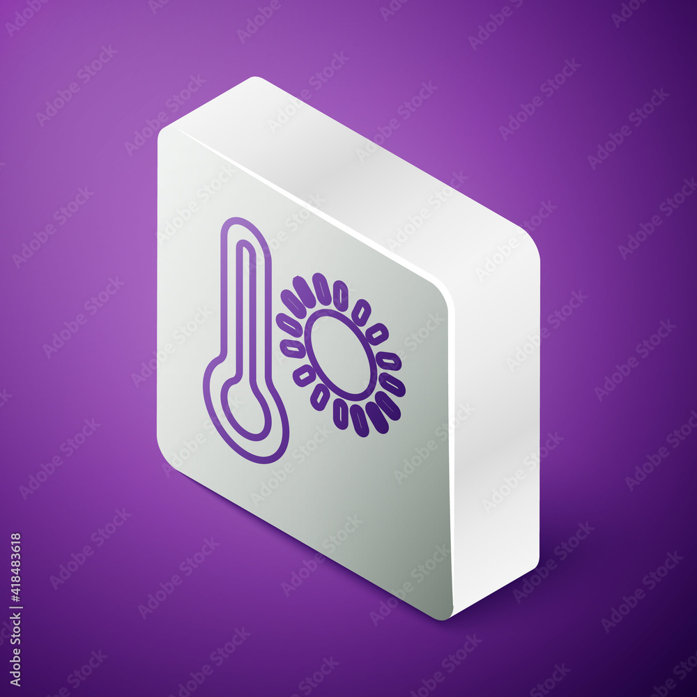 Isometric line Meteorology thermometer measuring heat and cold icon isolated on purple background. T