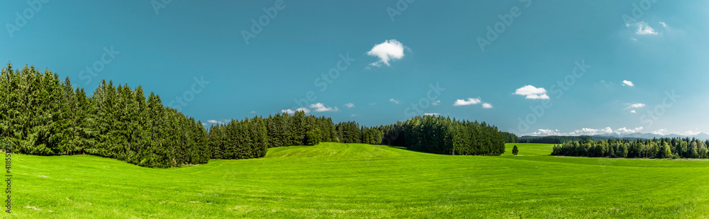 Grüne hügelige Landschaft mit Wald und Wiesen