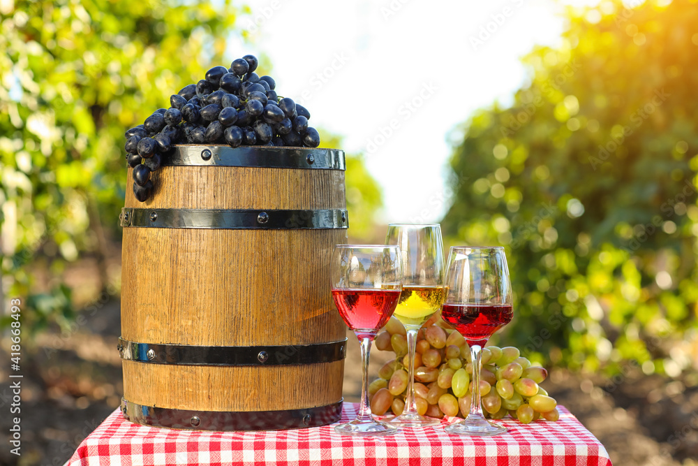 Barrel and glasses of wine with ripe grapes on table in vineyard