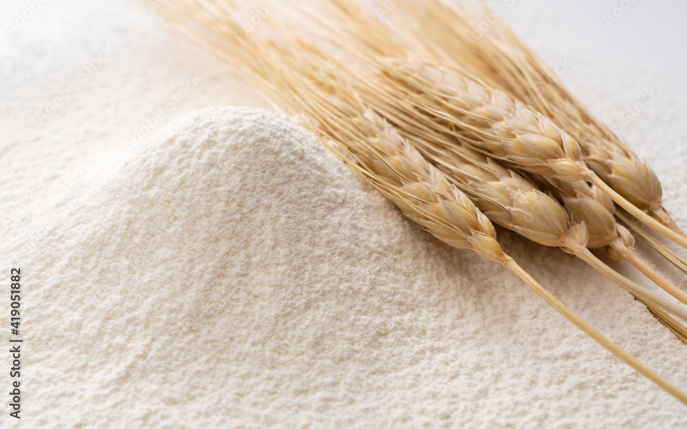 Close-up of a pile of flour and ears of wheat being sifted.