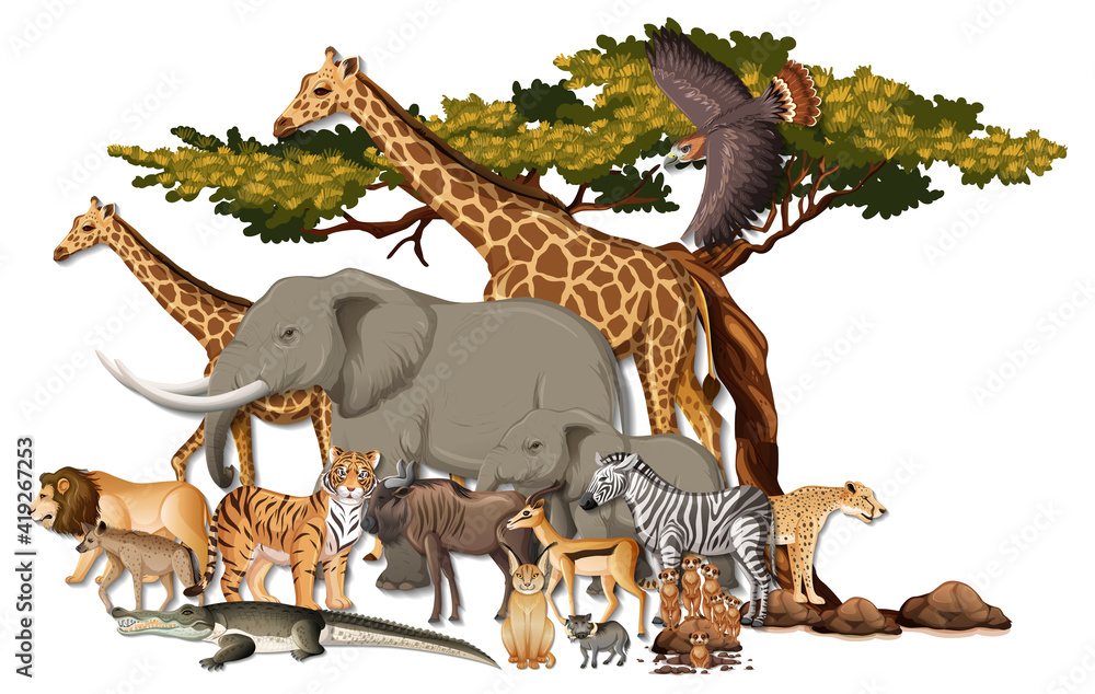 Group of wild African animals on white background