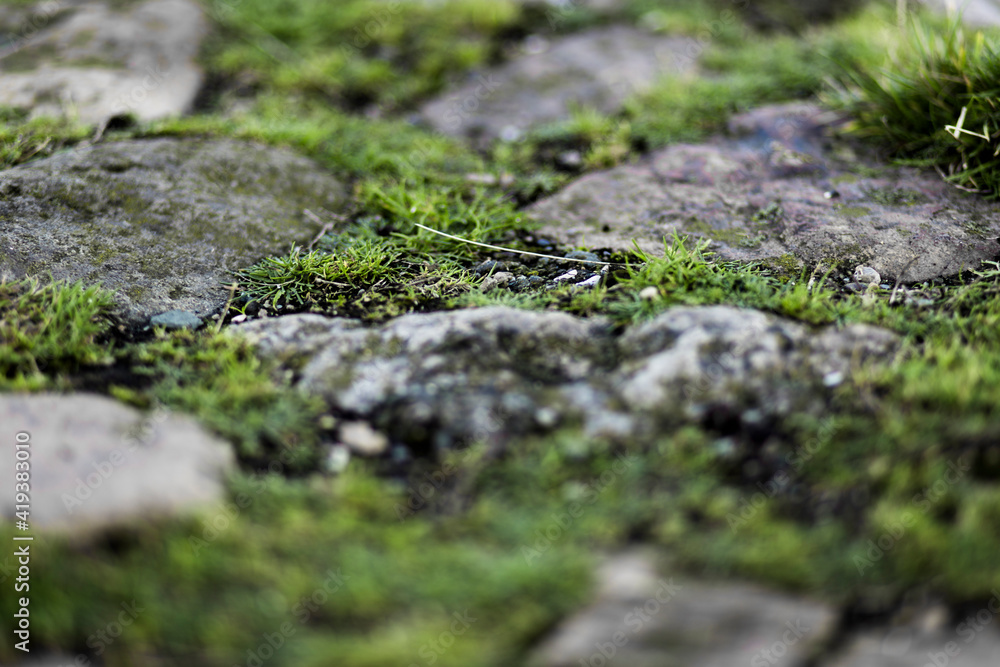 Grass and stones at a cliff.