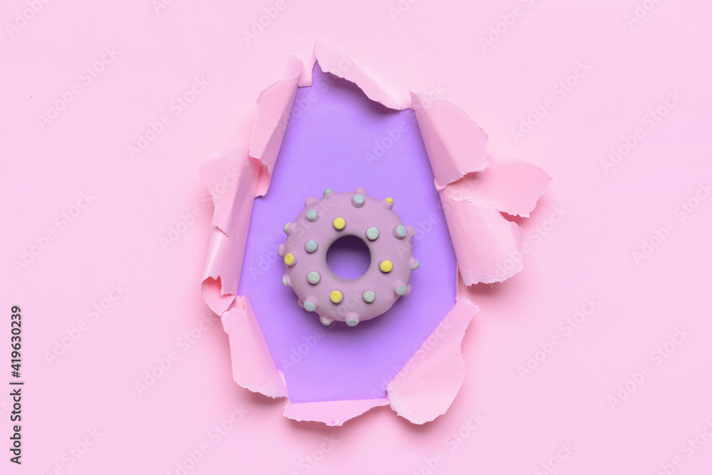 Rubber toy for pet on color background