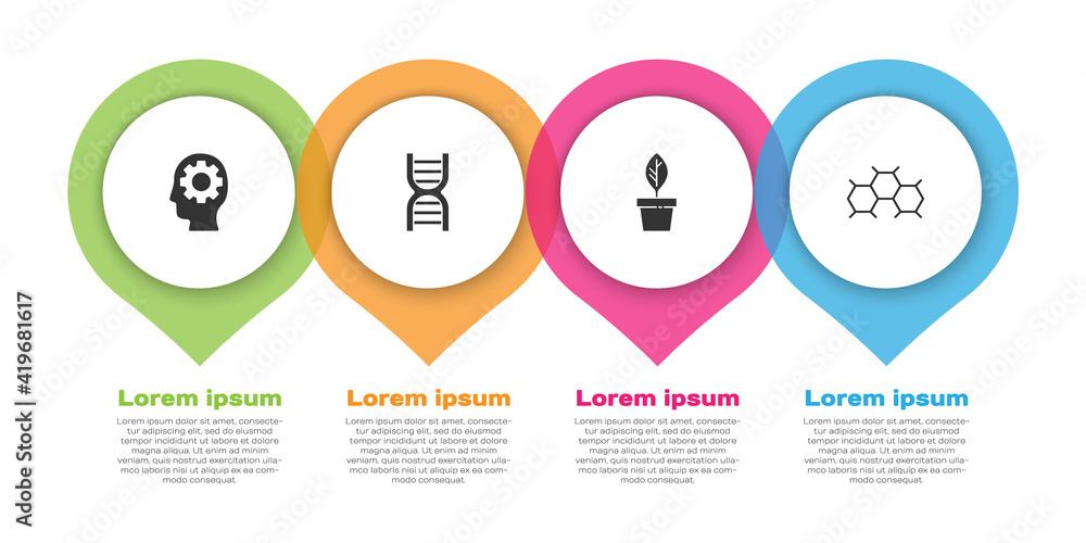 Set Head with gear in，DNA symbol，Plant pot and Chemical formula。商业信息图模板