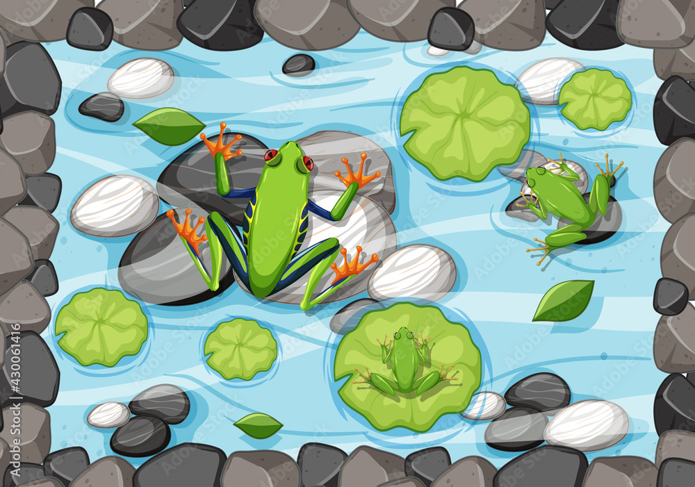 Aerial scene with frogs and lotus leaves in the pond