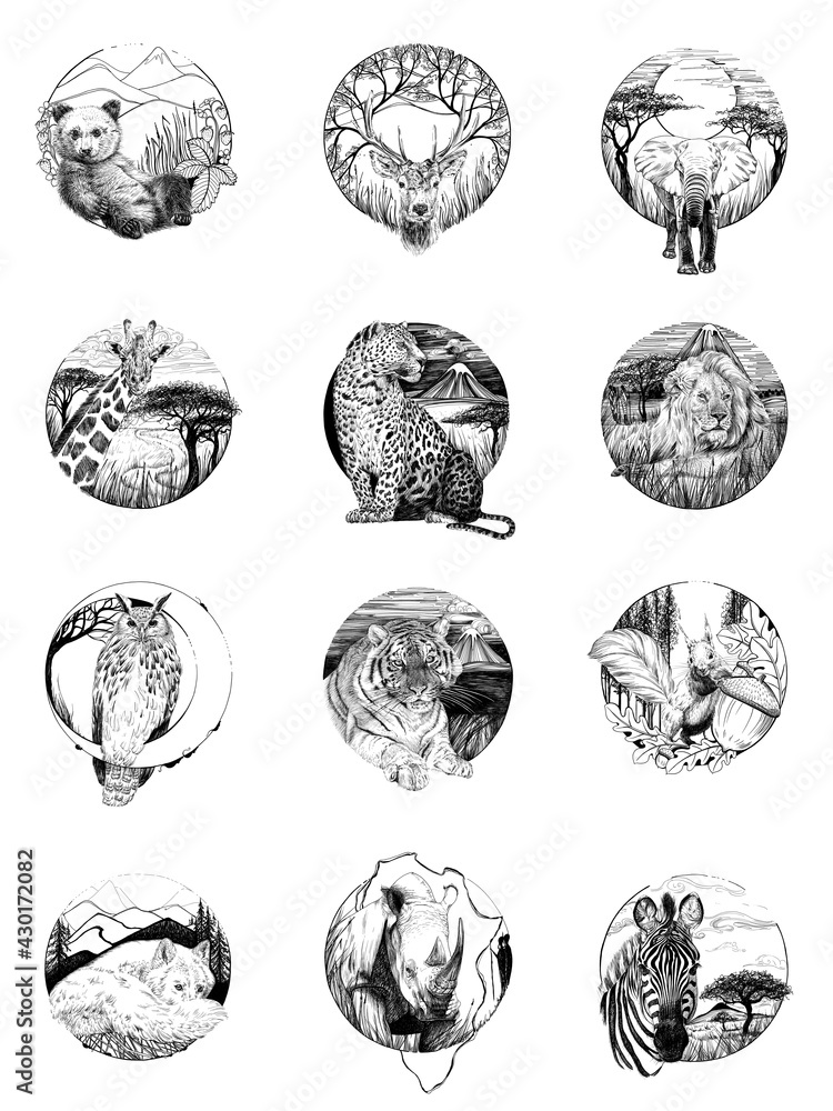 一套12只手绘动物，白色背景单色草图