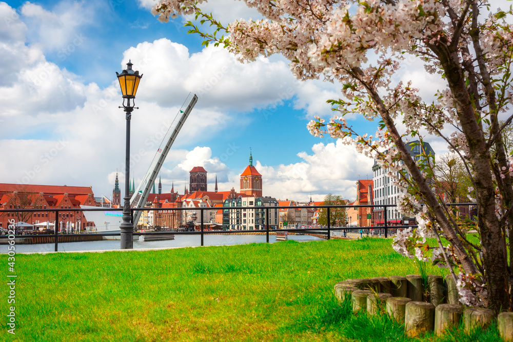 Spring scenery of the old town in Gdańsk around blooming trees. Poland